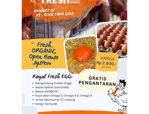 Royal Fresh Eggs